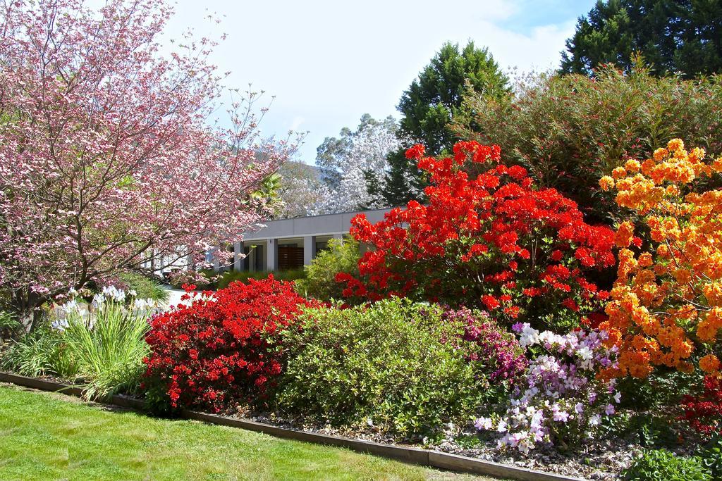 Grevillea Gardens Apartment 3 Bright Bagian luar foto